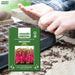 DDR-Beetroot-Microgreen-Seeds
