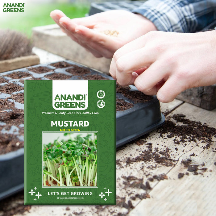 Mustard (सरसों माइक्रोग्रीन) Microgreens Seeds