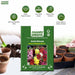 Antirrhinum-Dwarf-Antiquity-Mix-F1