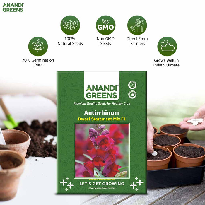 Antirrhinum – Tall Liberty Classic F1