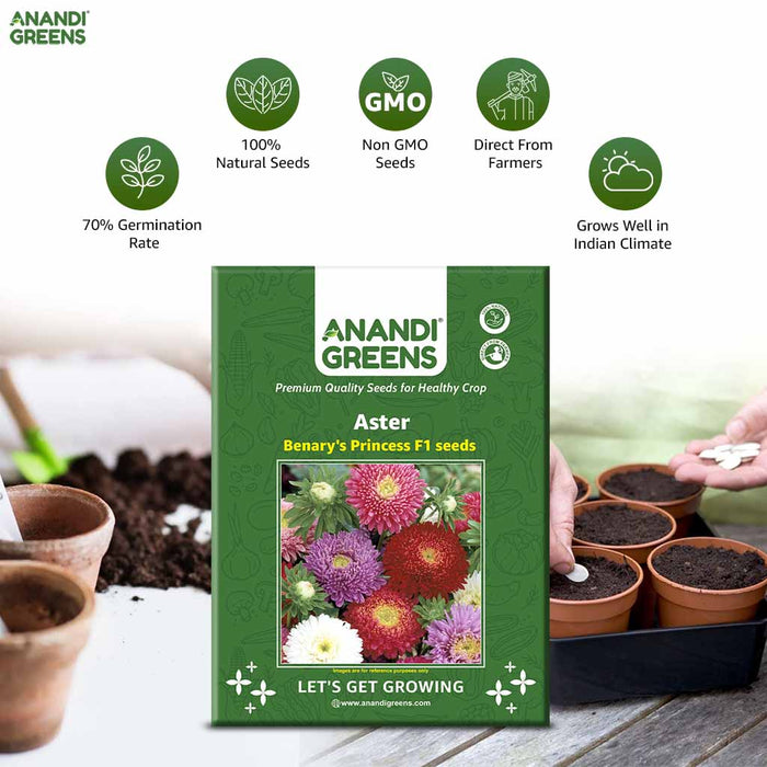 Anandi Greens Aster seeds packaging with gardening elements in the background