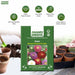Anandi Greens Aster seeds packaging with gardening elements in the background