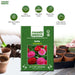 Bellis – Tasso-Mix-F1