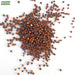 Chinese-Cabbage-Seeds 