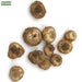 Chinchirinchi-Flower-Bulbs-Pouch