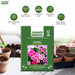 Godetia – Dwarf-Special-Mix-F1
