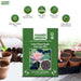 Lotus-Flower-Seeds