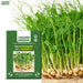 Pea-Microgreens-Seeds-(मटर माइक्रोग्रीन बीज)