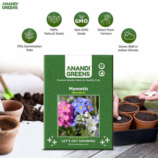 Myosotis – Sylva-Mix-F1