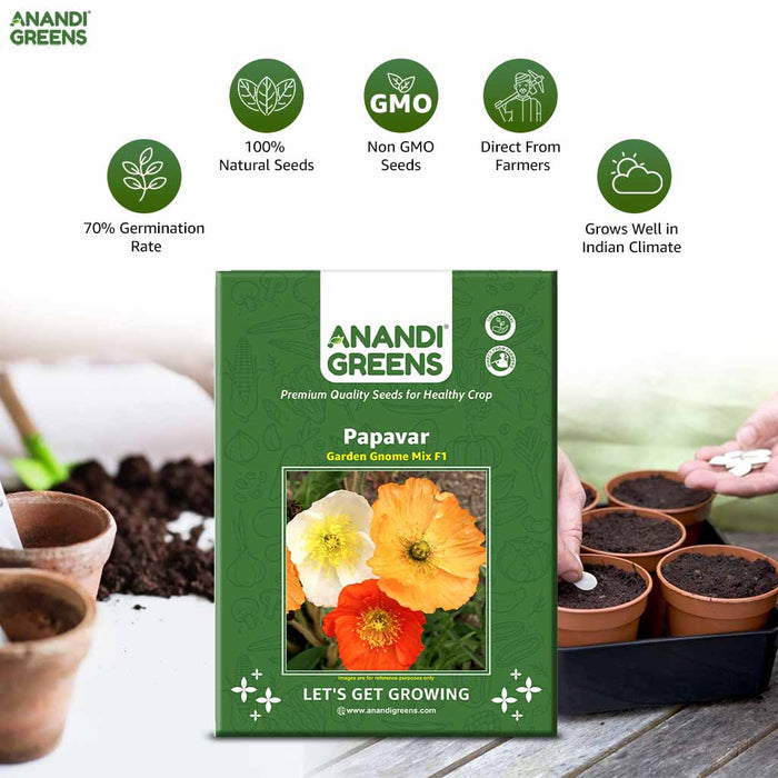 Papaver – Garden-Gnome-Mix-F1