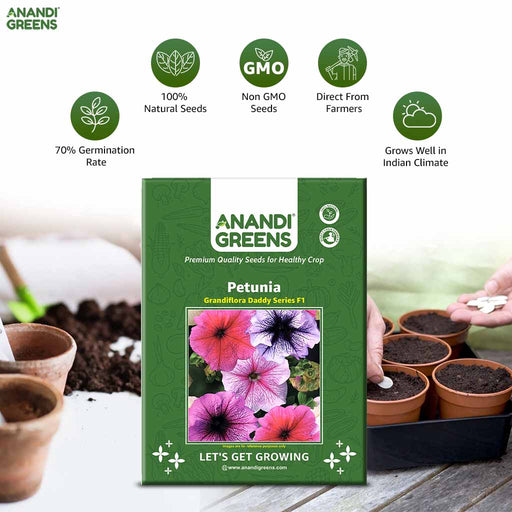 Petunia – Grandiflora-Daddy-Series-F1