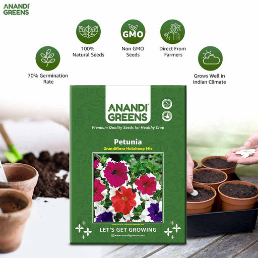 Petunia – Grandiflora-Hulahoop-Mix-F1