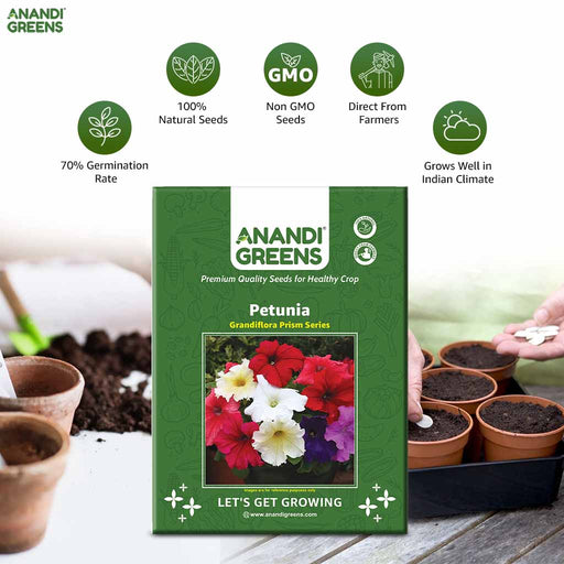 Petunia – Grandiflora-Prism-Series-F1
