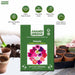 Petunia – Grandiflora-Success-360-Series-F1