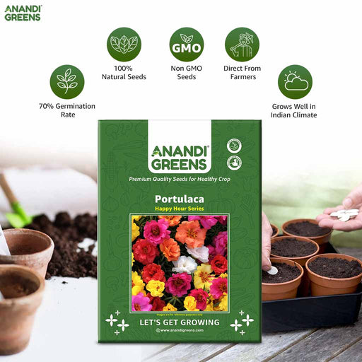 Portulaca – Happy-Hou-Series-F1