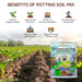 Benefits-of-potting-soil-mix-with-a-package-of-Anand-Greens-potting-soil-mix-in-the-foreground.