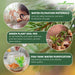 Pumice-Stone-for-Gardening