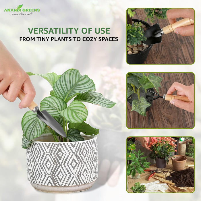 Succulent-Plant-Mini-Tools Set 3-in-1