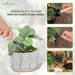 Succulent-Plant-Mini-Tools Set 3-in-1