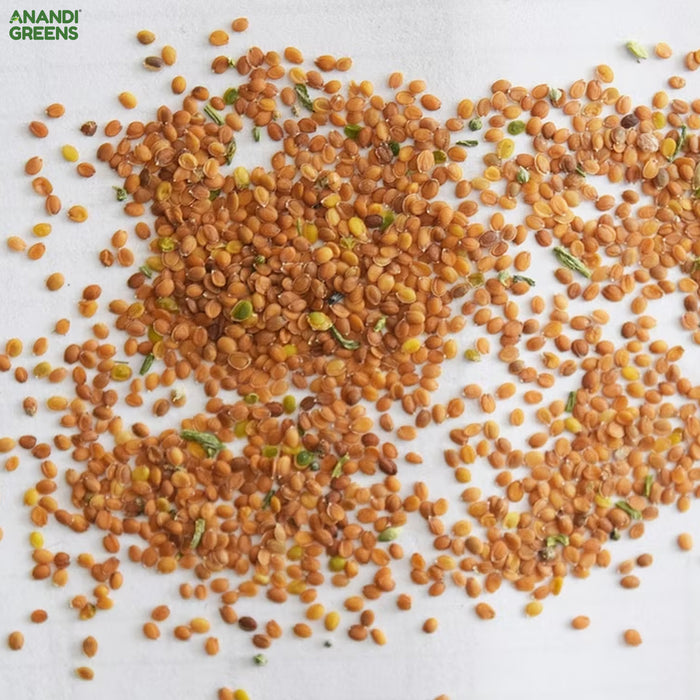 Alyssum-White-Carpet-Seeds