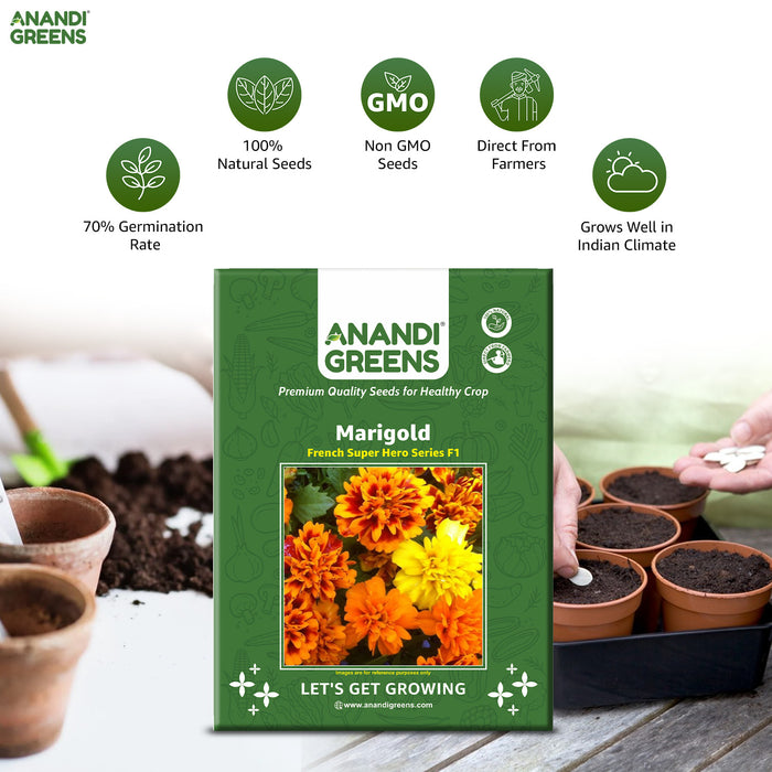 Marigold – French-Super-Hero-Series-F1