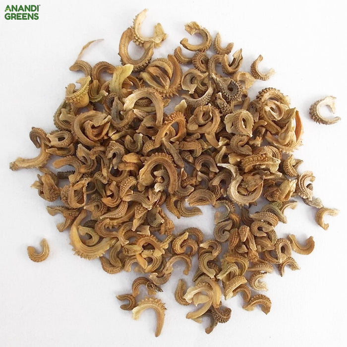 Dwarf-Calendula-Seeds