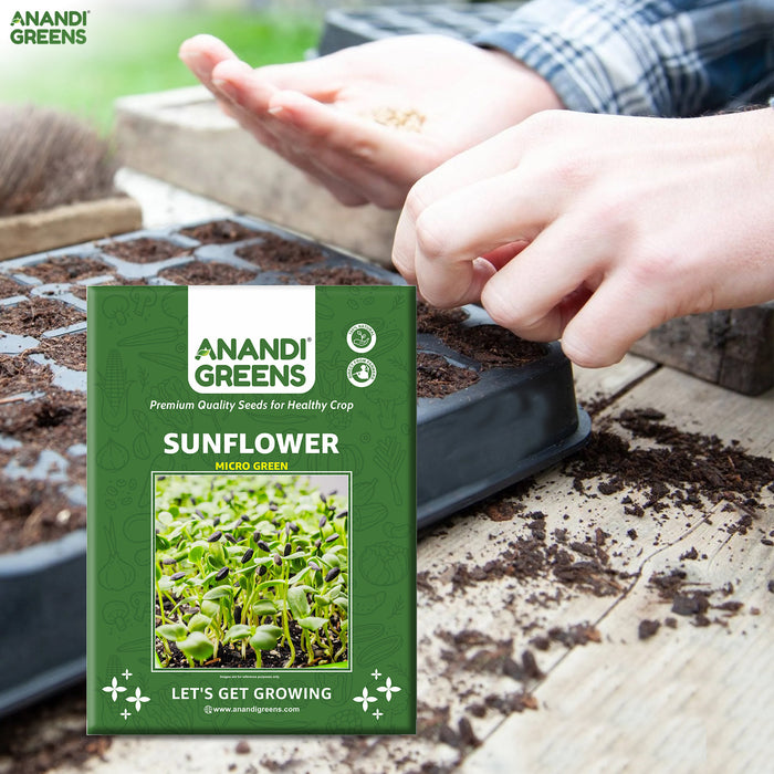 Sunflower Microgreens Seeds