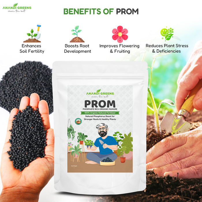 phosphorus rich fertilizer for plants PROM (Phosphorus Rich Organic Manure) — Anandi Green's
