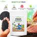 PROM-(Phosphorus-Rich-Organic-Manure)