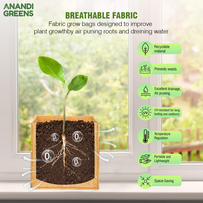 Geo Fabric Rectangular Plant Grow Bag 400 GSM 8x8x8 Inch