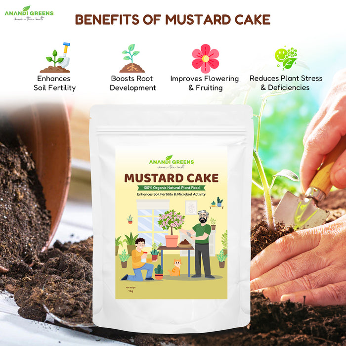 Mustard Cake Fertilizer – Natural Organic Nitrogen for Plants