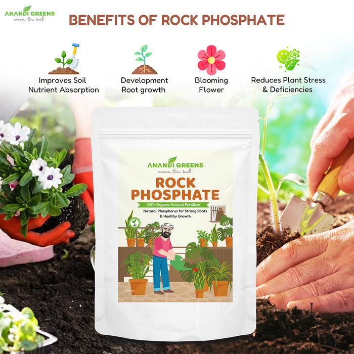 Rock-Phosphate - Natural -Phosphorus-Fertilizer