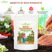 Rock-Phosphate - Natural -Phosphorus-Fertilizer