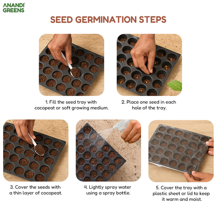 Flower-Seeds-Bundle-Pack-1 – 10 -arieties-Combo