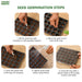 Step-by-step-guide-to-seed-germination-with-Anandi-Greens-branding