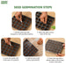 20-Winter-Vegetable-Seeds-Combo-Pack