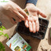 45 Desi Vegetable Seeds