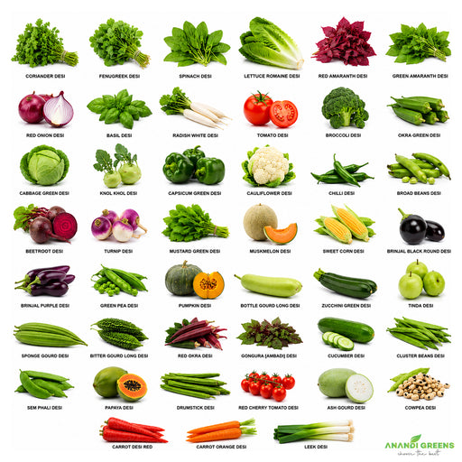 45 Desi Vegetable Seeds
