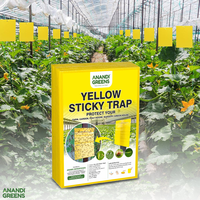 Yellow Sticky Traps (Pack of 10 Pcs) for Pest Control