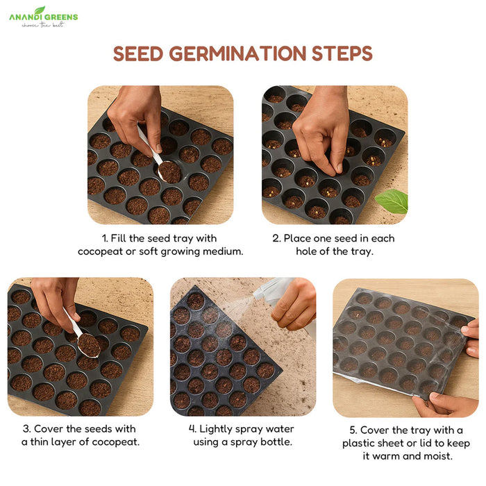 20 Summer Seeds Combo – Grow Your Own Fresh Veggies