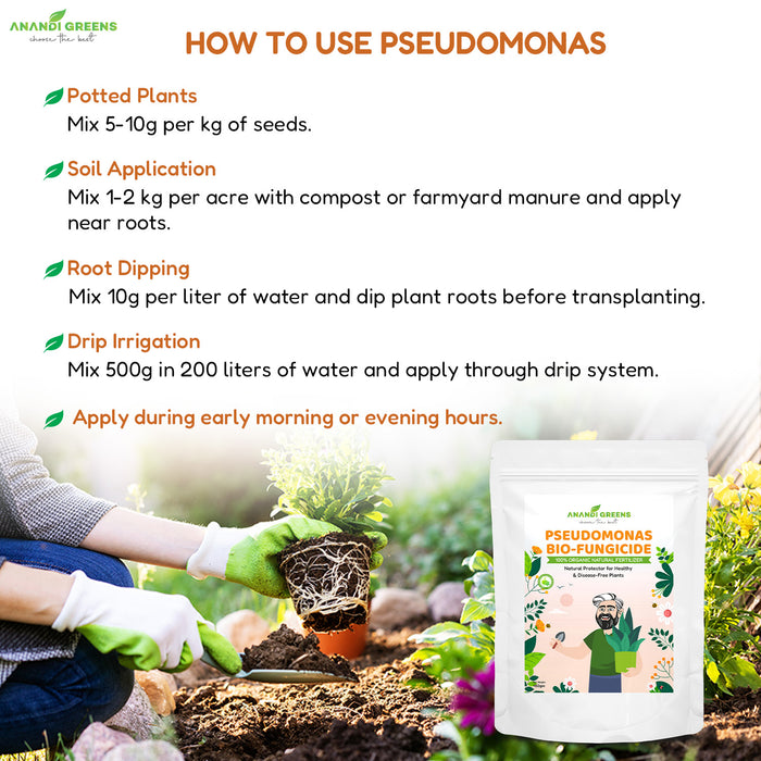 Pseudomonas  | स्यूडोमोनास – Bio-Fungicide & Soil Probiotic