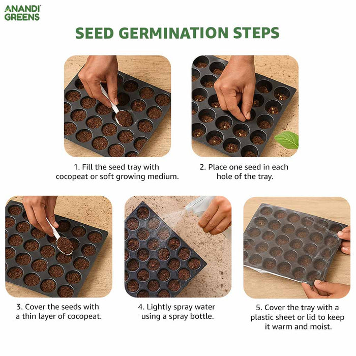 Step-by-step guide to seed germination with images and text.