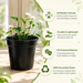 4 Inch Nursery Pot for Gardening