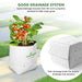 LDPE-Double-layer-Grow-Bag