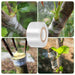 use-of-grafting-tape-on tree-branches with-green-leaves