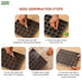 Step-by-step-guide-to seed-germination-with-Anandi-Greens-branding.