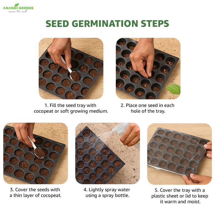 20 Varieties - Rainy Season Vegetable Seeds Combo