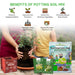 Diwali-Combo-Gardening-Kit