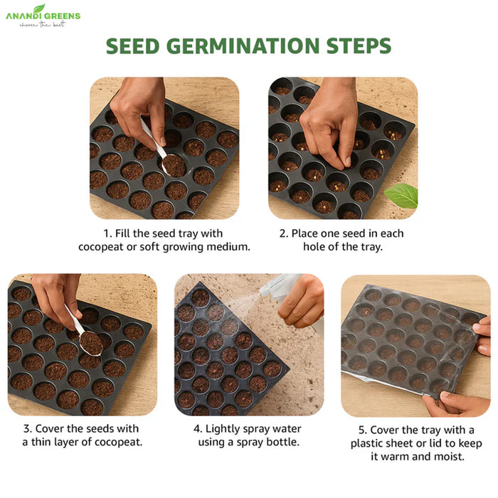 Desi Vegetable Seeds Combo Pack (45 Varieties) – सब्ज़ियों के बीजों का कंबो पैक