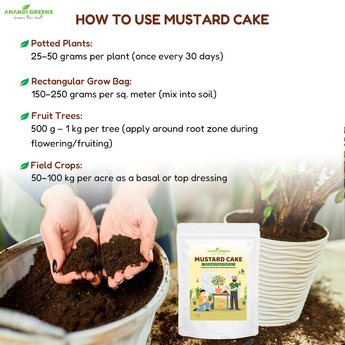 Mustard Cake Fertilizer – Natural Organic Nitrogen for Plants